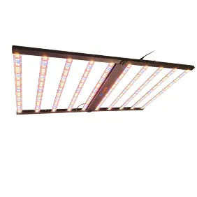 classic 4x6ft 1000w grow lights