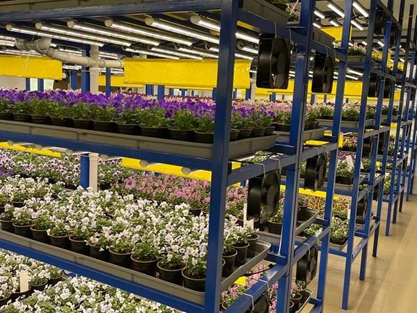 grow tube for flowering