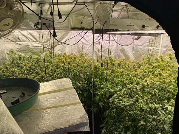 led grow light for tent