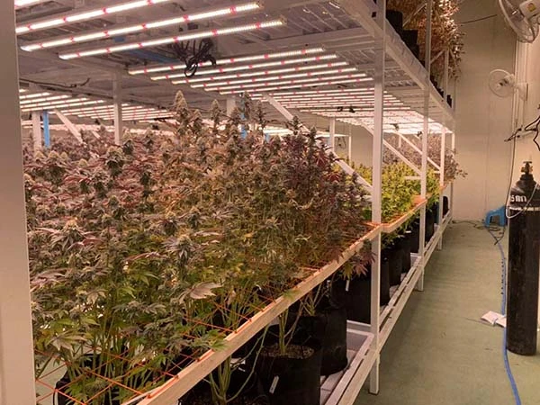 led grow light for vertical farming