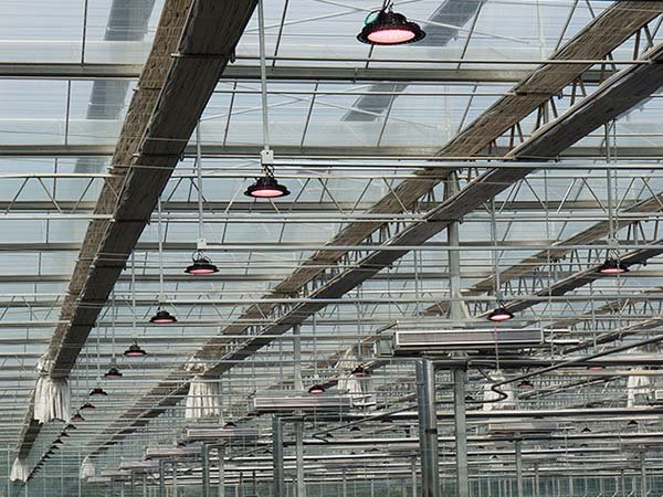 ufo led grow lights for indoor plants