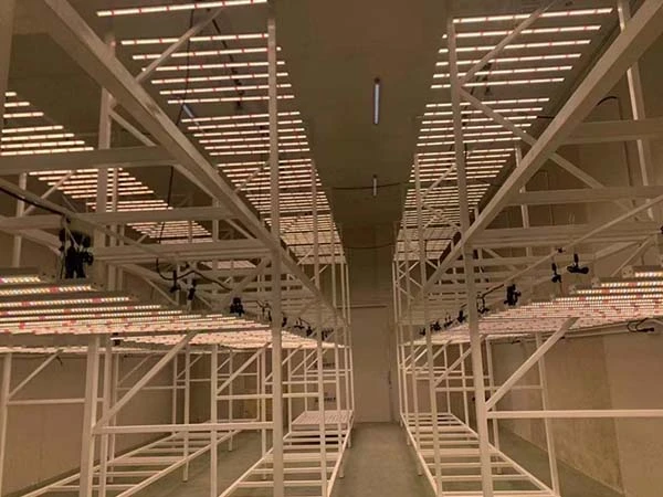 vertical growing with sltmaks grow lights