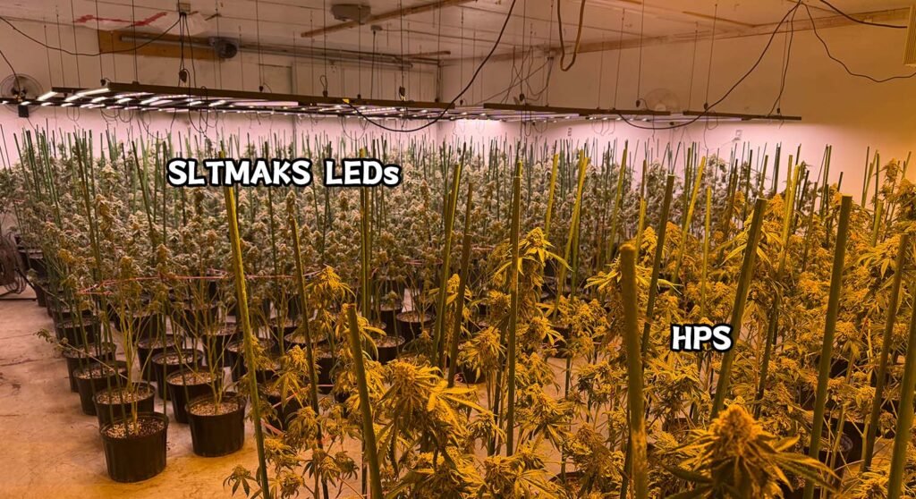 SLTMAKS LED VS HPS