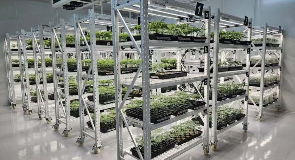 best led grow lights for indoor herbs
