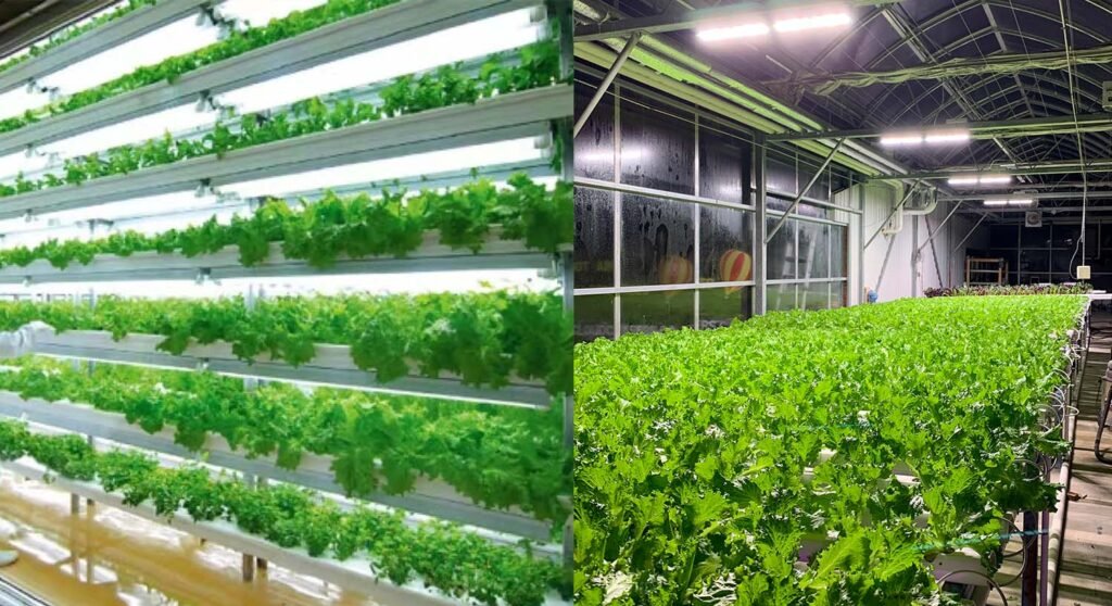 grow lights for vegetables